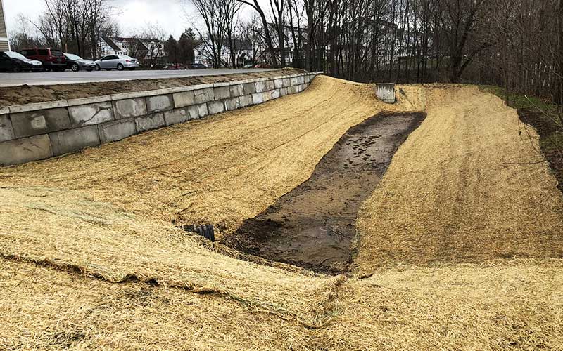 Vermont_Stormwater_Pond_Maintenance